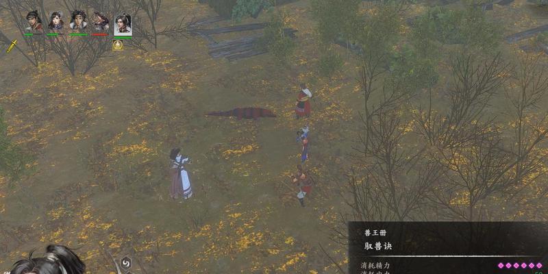 河洛群侠传兽王攻略（兽王位置分布及属性详解）
