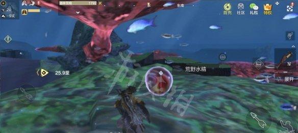 妄想山海虺蜴强度测评一览（一款引人入胜的游戏）