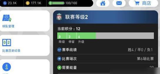 足球狂热者必看（精通游戏技巧）