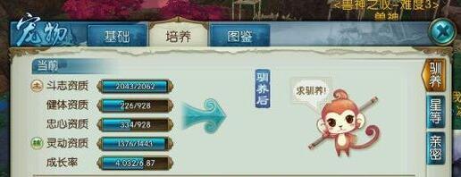 诛仙手游灌注注意事项（玩转诛仙）