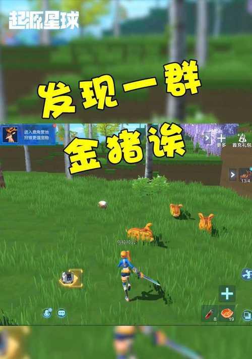 捕捉宠物，如何关闭自动攻击（学会控制宠物攻击）