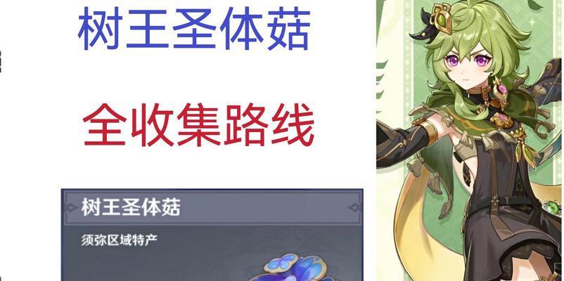 《原神树王圣体菇刷新时间一览》（不错过任何刷新时间）