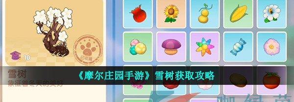 摩尔庄园手游跷跷板怎么获得？攻略分享！
