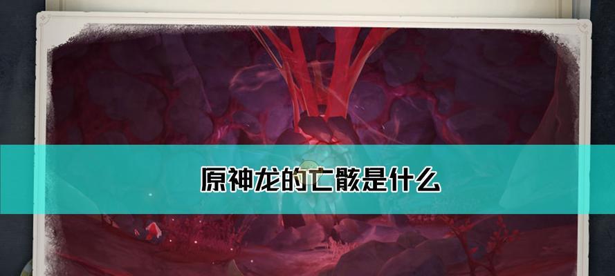 树枫龙刷新位置介绍？