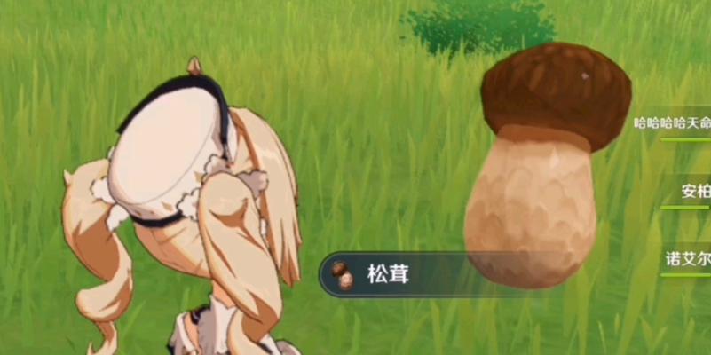 松洱原神在哪里买？购买原神游戏有哪些渠道？