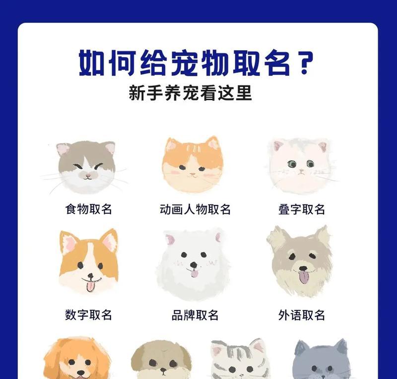哪些手游适合给宠物取名字？
