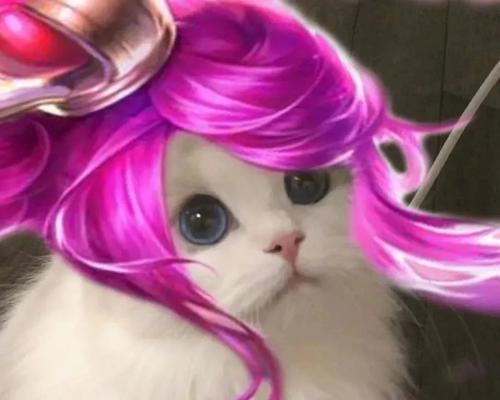王者荣耀猫咪英雄强度评估如何？