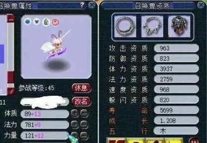 梦幻西游手游大雁最高多少层？挑战极限层数的方法？