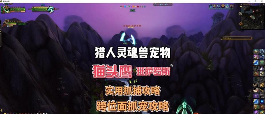 魔兽世界猎人宠物捕捉方法是什么？