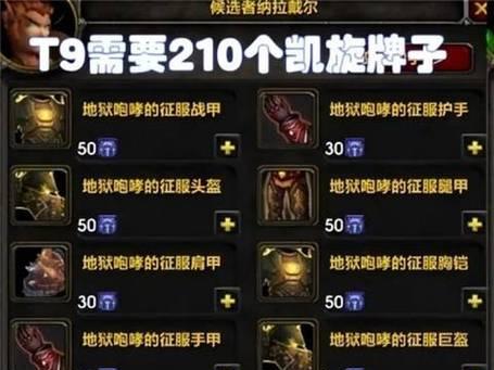 黑皮护肩在魔兽世界中的获取方法是什么？