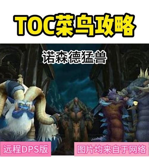 魔兽世界中如何找CD？找CD的有效方法是什么？